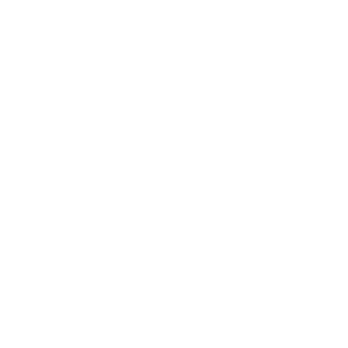 CHROME HEARTS