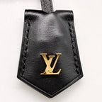 LOUIS VUITTON ルイ・ヴィトン モノグラム モノグラム・リバース ヴァニティ 2WAY ハンドバッグ ショルダー ゴールド金具 ★美品★