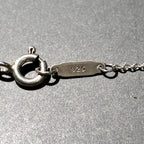 Tiffany&Co. ティファニー ロゴ スイング ネックレス アクセサリー シルバー SV925 ★美品★